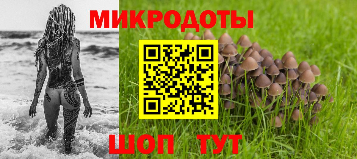 Сосновый Бор  Галлюциногенные грибы Psilocybe  Вход с VPN 