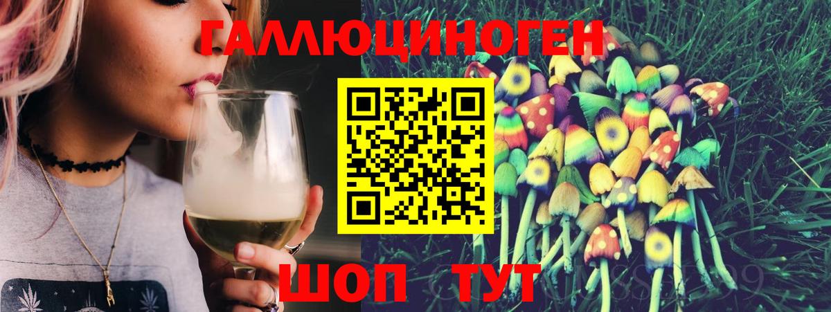 Галлюциногенные грибы Psilocybine cubensis Сосновый Бор